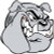 Bulldog helmet sticker decals