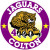 Jaguar Cat Decals Stickers Clings Magnets Wall Decals