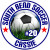 soccer window sticker decal clings & magnets soccer window sticker decal clings & magnets