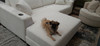 Cabo Fabric 2 Piece Reversible Sectional