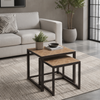 Terra Nesting Tables (Set of 2)