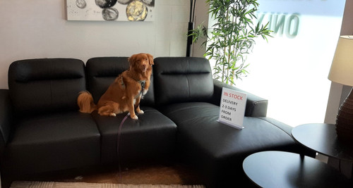 Travis Genuine Leather RHF Sectional Black