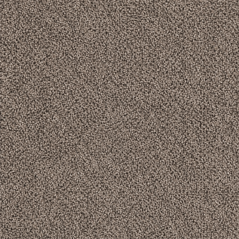 Cuddle Graphite