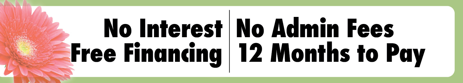 Pay Nothing for 12 Months 