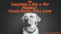 Choosing a Kid and Pet Friendly Sofa That You'll Still Love