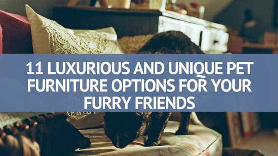 11 Luxurious and Unique Pet Furniture Options For Your Furry Friends