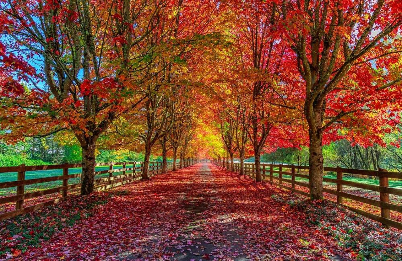 Autumn