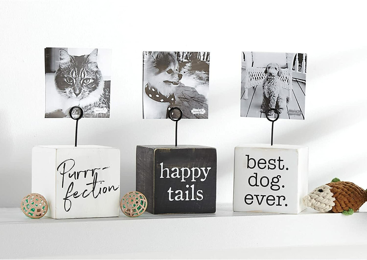 Pet Memorabilia