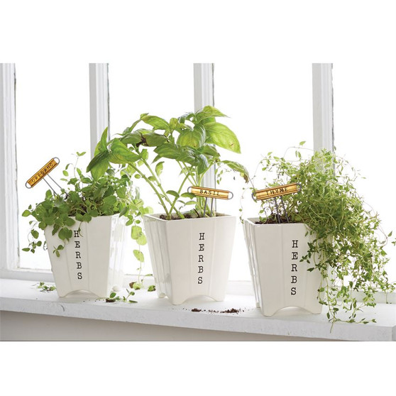 oregano herb planter set