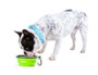 collapsible pupware