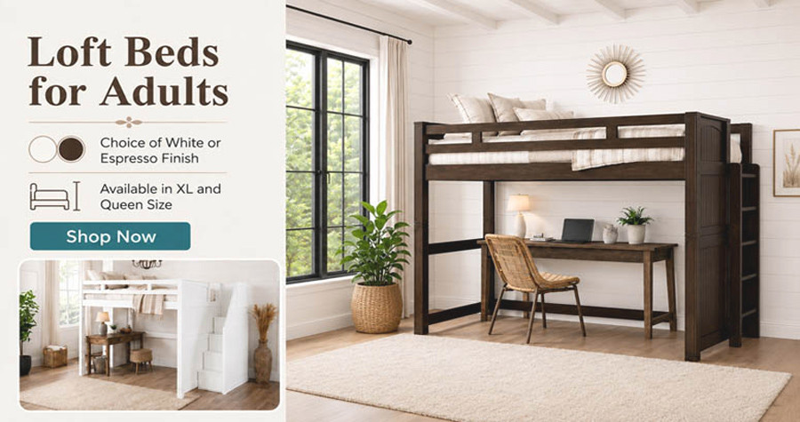 Loft Bed for adults