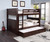 Espresso With Trundle and Vertical Ladder