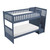 Charlton Twin Twin Step Bunk in Blue