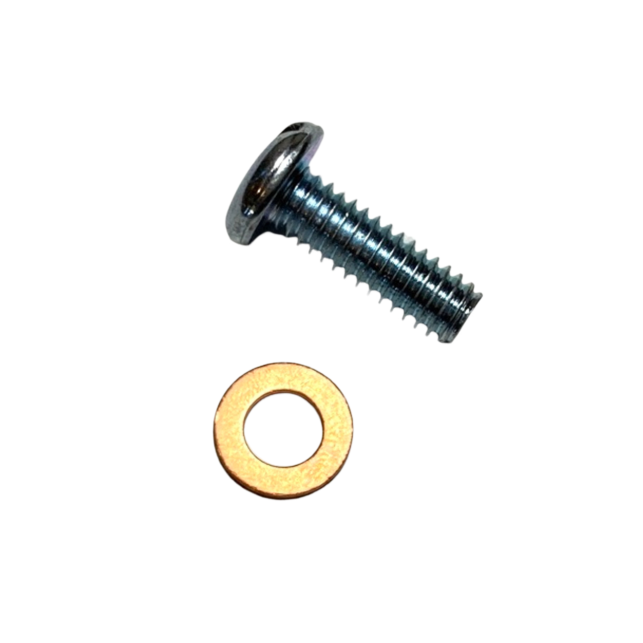 Fuel Tank Sender Screw/Washer ARG923