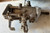 Injection Pump - 3266F589