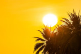 Summer Flash sale