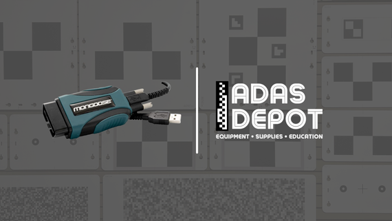 Most common questions about the Mongoose Supergoose