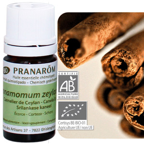 Pranarôm Bio Ätherisches Öl Cinnamomum Verum 5 ml Pranarôm Bio Ätherisches Öl Cinnamomum Verum 5 ml