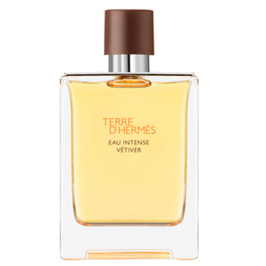 Terre D´Hermès Eau Intense Vetiver Spray 100ml Terre D´Hermès Eau Intense Vetiver Spray 100ml