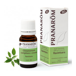 Pranarom Essential Oil Ravintsara 10ml Pranarom Essential Oil Ravintsara 10ml