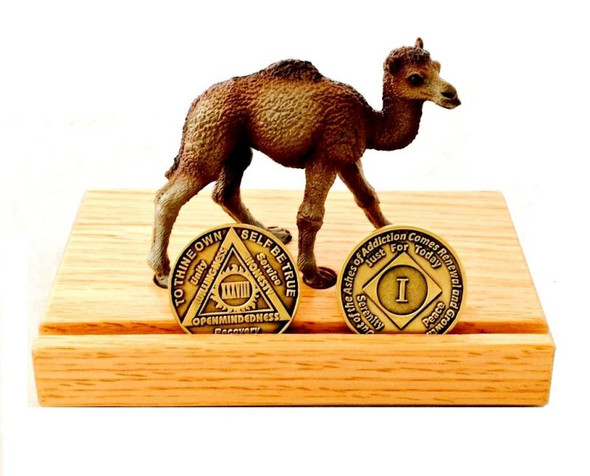 Camel Mini Recovery Coin Display