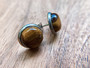 Tiger Eye Earrings - 10mm