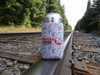 Beaver Koozie