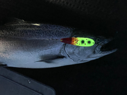 トラウト　スプーン　MIU accuracy バベル　wired トラウト スプーン MIU accuracy バベル wired トラウト