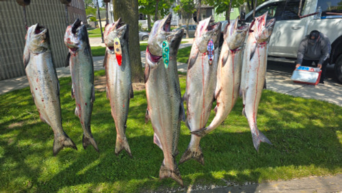 Magnum Trolling Spoon