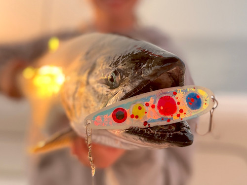 Lures - BEAVER'S LURES LLC