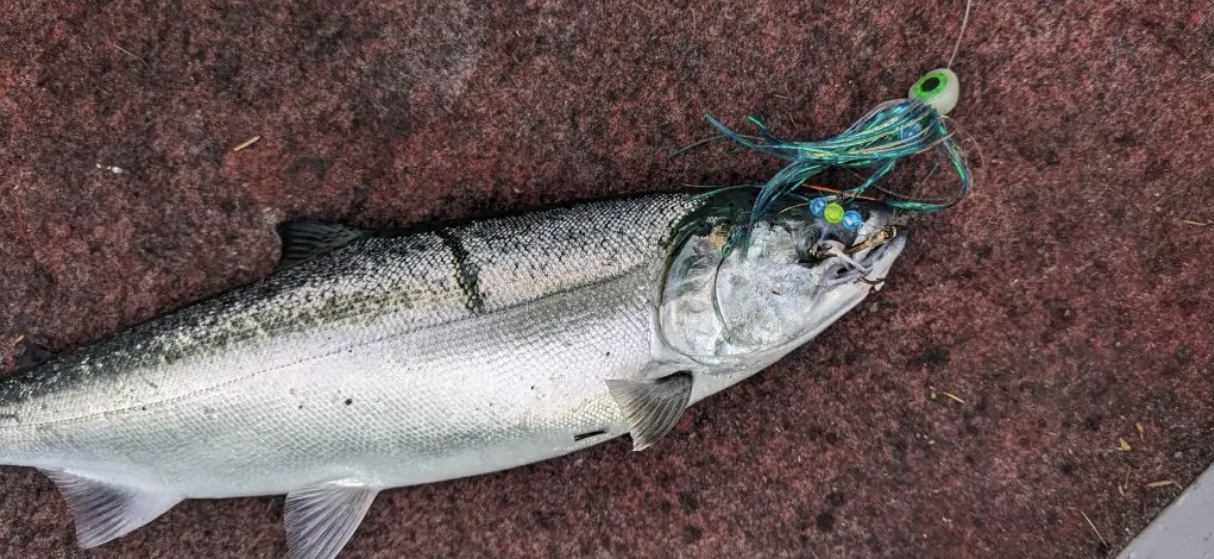 best king salmon fishing lure Baker’s Dozen Custom Pack Big Eyed Trolling Fly -