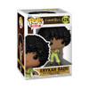 Erykah Badu (Essence Awards) Funko Pop! Rocks