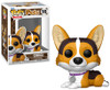 Corgi (#16) Funko Pop! Pets