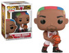 Dennis Rodman (Chicago Bulls) NBA Legends Series 2 Funko Pop!