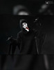 Ghost Face (Ghost Face Returns) NECA Ultimate 7" Scale Action Figure