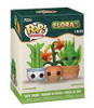 Flora Mystery Funko Pop! Single Pack (PRE-ORDER Ships August)