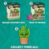 Flora Mystery Funko Pop! Single Pack (PRE-ORDER Ships August)