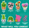 Flora Mystery Funko Pop! Sealed Case (6) (PRE-ORDER Ships August)