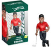Tiger Woods Minix 4.5-Inch Vinyl Entertainment Figure