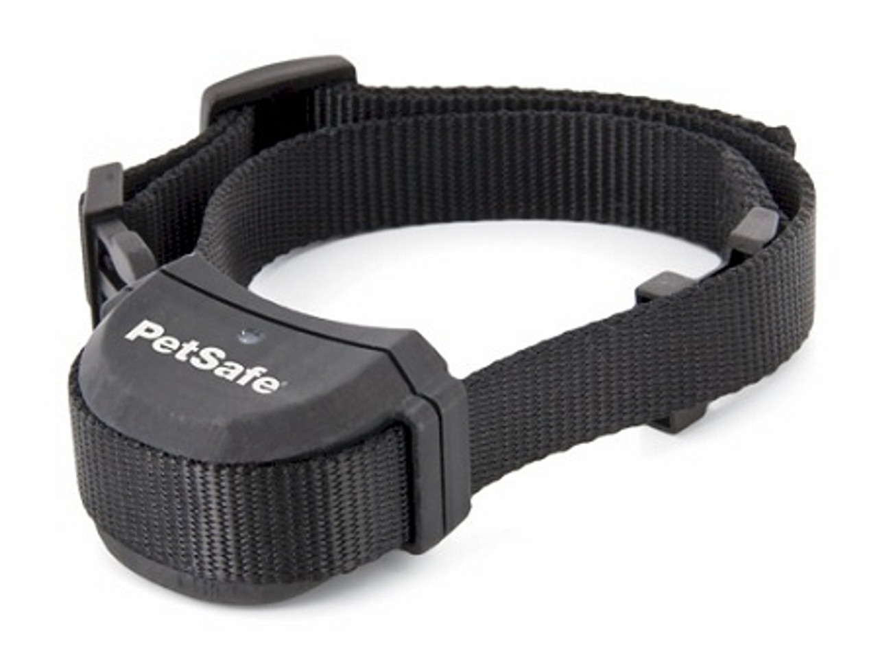 Petsafe dog clearance fence collar