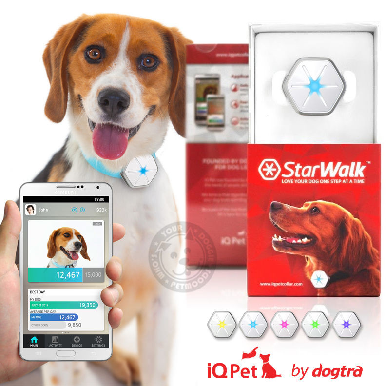 pet activity tracker
