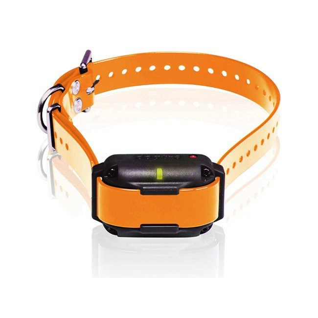 dogtra edge rt collar