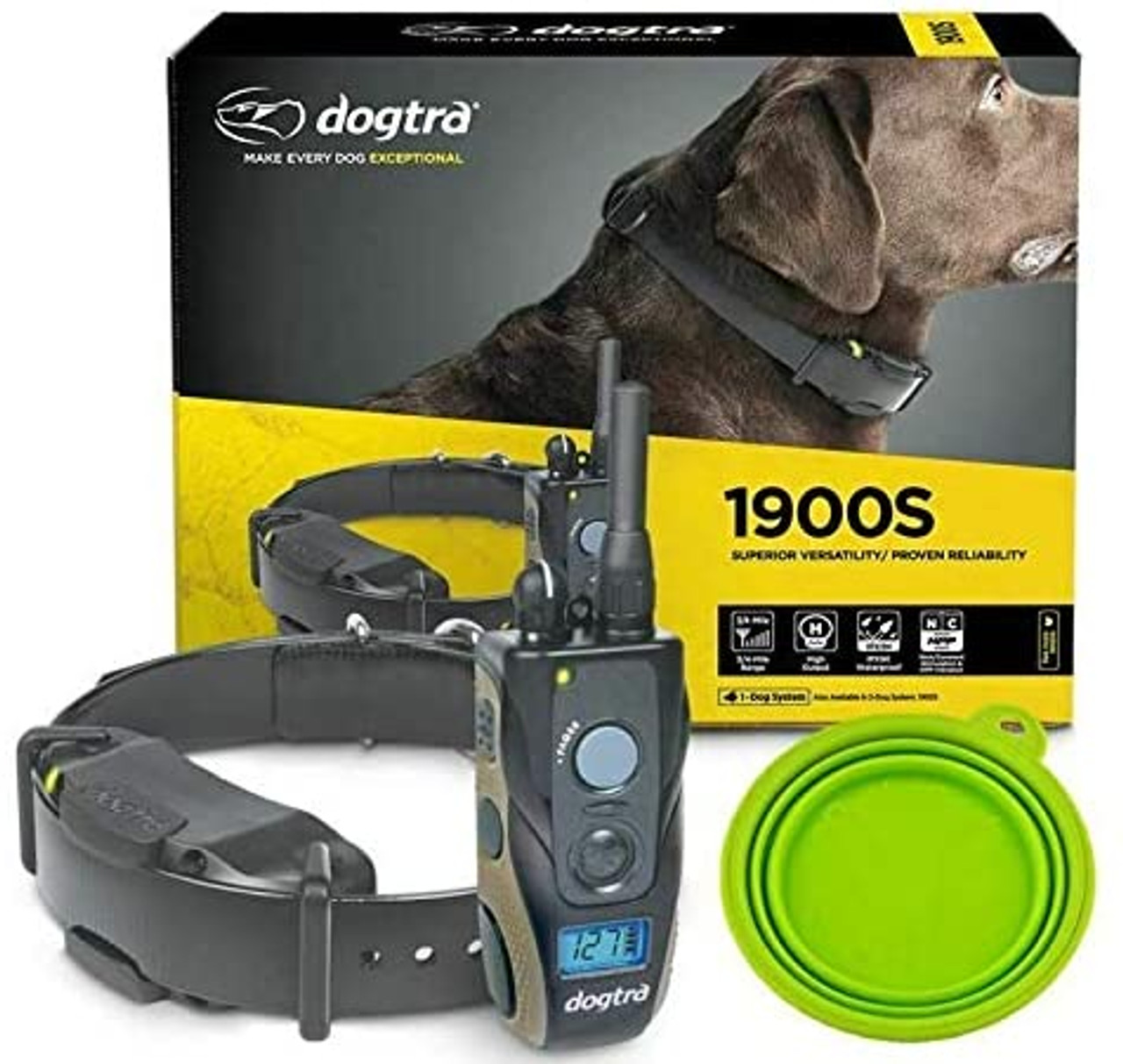 Dogtra e shop collar training