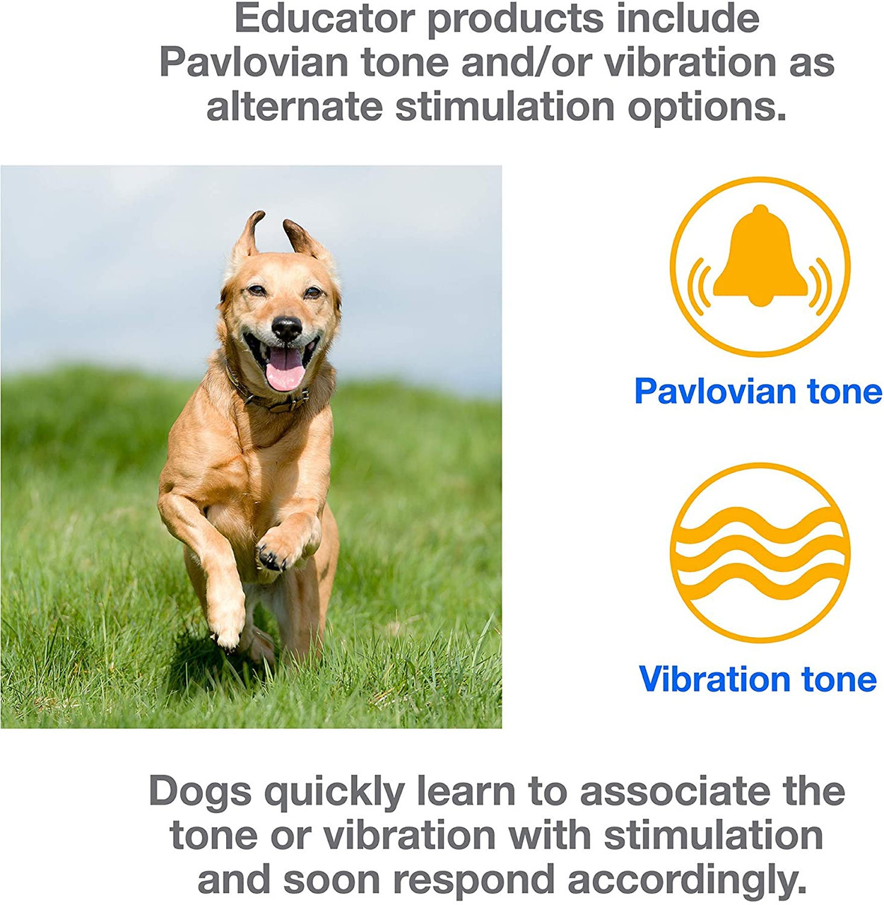 Mini Educator ECollar ET300 / ET302 Dog Training Collar System with