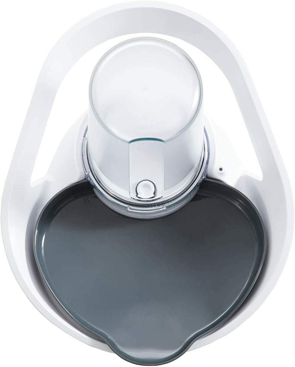 Felaqua Connect Cat Water Fountain Review: Tracks Cat's Drinking