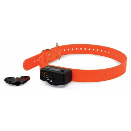programming sportdog collar
