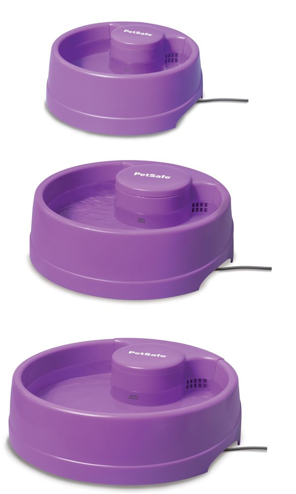 PetSafe Drinkwell PWW0014909 Current Fountain 120 oz Orchid Water