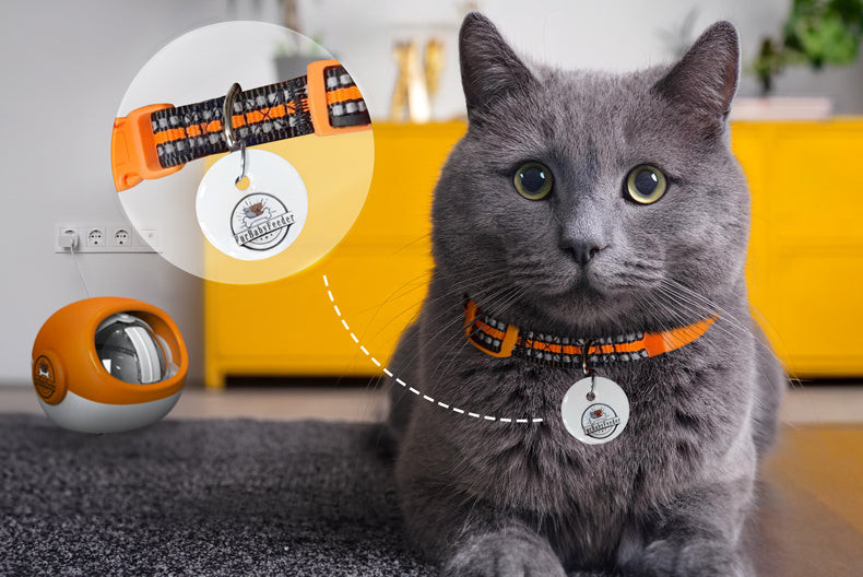 Dog Collar Rfid Cat Collar Cat Feeder Rfid Collar Tag
