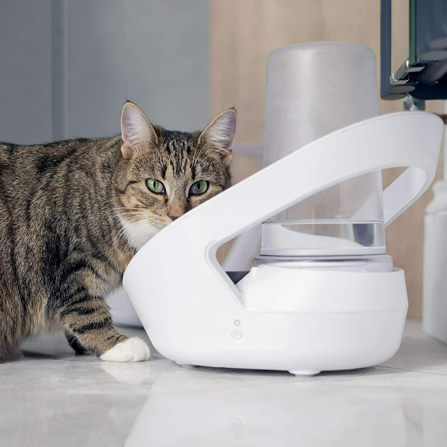 SureFlap Surefeed Microchip Pet Feeder MPF001 Uses Microchip or