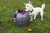 PetSafe Automatic Ball Launcher